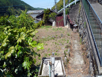 家庭菜園用畑