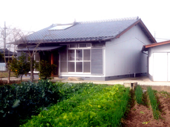建物全景