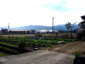 耳納連山の遠望